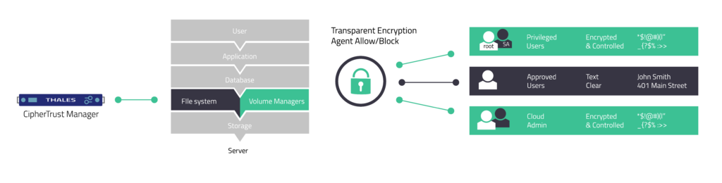 Visual description of howThales CipherTrust data security platform works